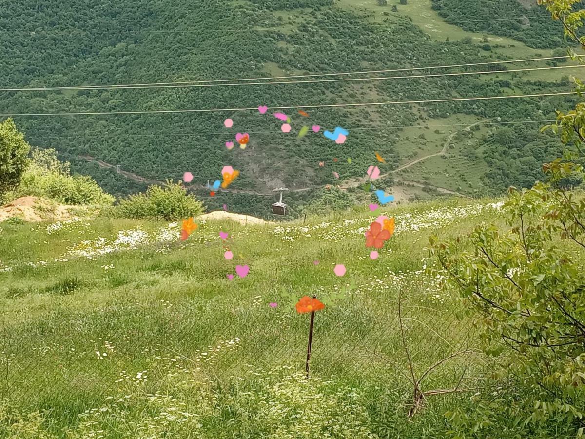Rubina Bed And Breakfast Tatev Kültér fotó